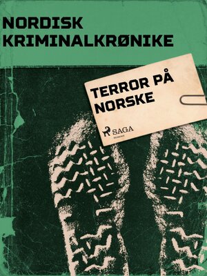 Terror på norsk - ebook